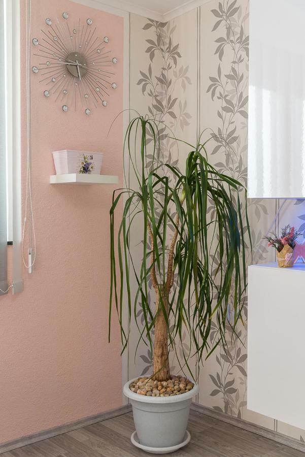 Apartment Danijela II Σίμπενικ Εξωτερικό φωτογραφία